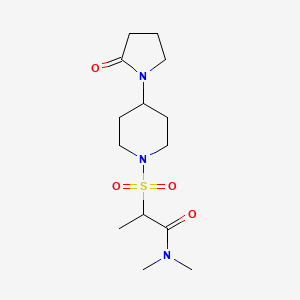 molecular formula C14H25N3O4S B7449647 N,N-dimethyl-2-[4-(2-oxopyrrolidin-1-yl)piperidin-1-yl]sulfonylpropanamide 