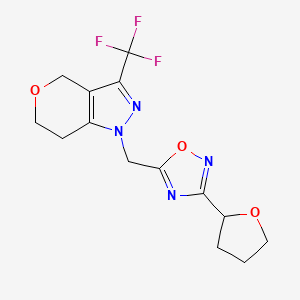 molecular formula C14H15F3N4O3 B7449757 1-[[3-(oxolan-2-yl)-1,2,4-oxadiazol-5-yl]methyl]-3-(trifluoromethyl)-6,7-dihydro-4H-pyrano[4,3-c]pyrazole 