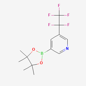 molecular formula C13H15BF5NO2 B7450838 3-(1,1,2,2,2-Pentafluoroethyl)-5-(4,4,5,5-tetramethyl-1,3,2-dioxaborolan-2-yl)pyridine 