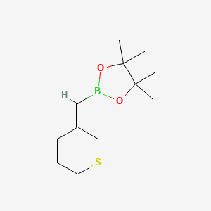 molecular formula C12H21BO2S B7451406 4,4,5,5-Tetramethyl-2-[(thian-3-ylidene)methyl]-1,3,2-dioxaborolane 