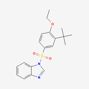 molecular formula C19H22N2O3S B7451532 1-(3-Tert-butyl-4-ethoxyphenyl)sulfonylbenzimidazole 