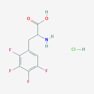 molecular formula C9H8ClF4NO2 B7451656 2-Amino-3-(2,3,4,5-tetrafluorophenyl)propanoic acid hcl 