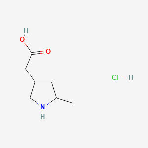 molecular formula C7H14ClNO2 B7452247 2-(5-Methylpyrrolidin-3-YL)acetic acid hcl 