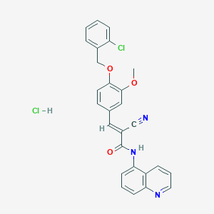 (E)-3-[4-[(2-chlorophenyl)methoxy]-3-methoxyphenyl]-2-cyano-N-quinolin-5-ylprop-2-enamide;hydrochloride