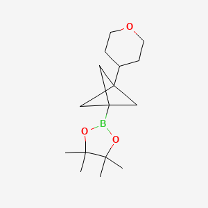 molecular formula C16H27BO3 B7452391 4,4,5,5-Tetramethyl-2-[3-(oxan-4-yl)bicyclo[1.1.1]pentan-1-yl]-1,3,2-dioxaborolane 