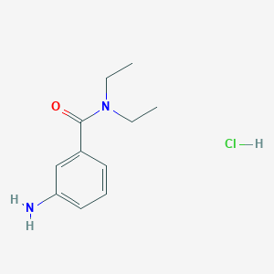 molecular formula C11H17ClN2O B7452462 3-amino-N,N-diethylbenzamide;hydrochloride 