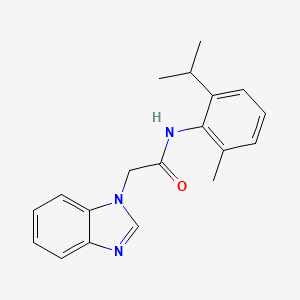 molecular formula C19H21N3O B7452524 2-(benzimidazol-1-yl)-N-(2-methyl-6-propan-2-ylphenyl)acetamide 