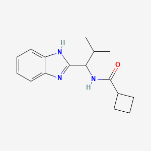 molecular formula C16H21N3O B7453408 N-[1-(1H-benzimidazol-2-yl)-2-methylpropyl]cyclobutanecarboxamide 