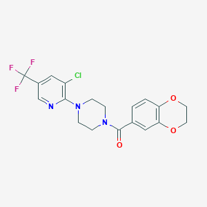 molecular formula C19H17ClF3N3O3 B7454145 [4-[3-Chloro-5-(trifluoromethyl)-2-pyridyl]piperazino]-(2,3-dihydro-1,4-benzodioxin-6-yl)methanone 