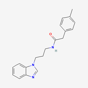 molecular formula C19H21N3O B7455400 N-[3-(benzimidazol-1-yl)propyl]-2-(4-methylphenyl)acetamide 
