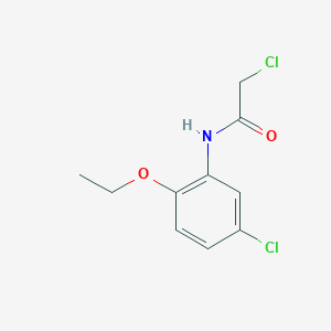 molecular formula C10H11Cl2NO2 B7456198 2-chloro-N-(5-chloro-2-ethoxyphenyl)acetamide 