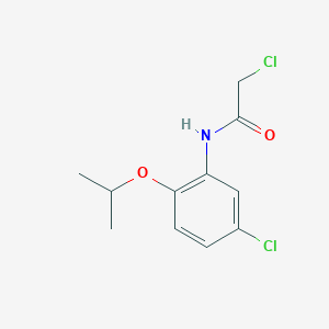 molecular formula C11H13Cl2NO2 B7456201 2-chloro-N-(5-chloro-2-propan-2-yloxyphenyl)acetamide 