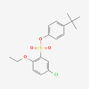 molecular formula C18H21ClO4S B7456551 4-Tert-butylphenyl 5-chloro-2-ethoxybenzene-1-sulfonate 