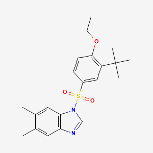 molecular formula C21H26N2O3S B7456644 1-(3-tert-butyl-4-ethoxybenzenesulfonyl)-5,6-dimethyl-1H-1,3-benzodiazole 