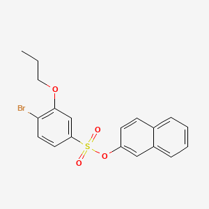 molecular formula C19H17BrO4S B7456659 Naphthalen-2-yl 4-bromo-3-propoxybenzene-1-sulfonate 