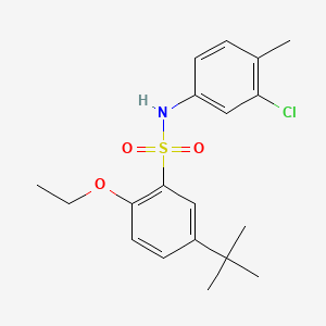 molecular formula C19H24ClNO3S B7456699 5-tert-butyl-N-(3-chloro-4-methylphenyl)-2-ethoxybenzene-1-sulfonamide 