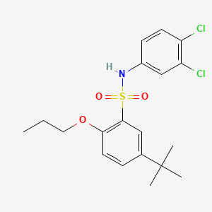 molecular formula C19H23Cl2NO3S B7456746 5-tert-butyl-N-(3,4-dichlorophenyl)-2-propoxybenzene-1-sulfonamide 