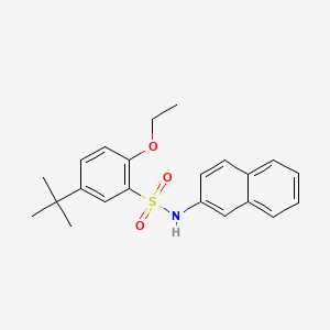 molecular formula C22H25NO3S B7456770 5-tert-butyl-2-ethoxy-N-(naphthalen-2-yl)benzene-1-sulfonamide 
