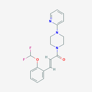 molecular formula C19H19F2N3O2 B7457019 (E)-3-[2-(difluoromethoxy)phenyl]-1-(4-pyridin-2-ylpiperazin-1-yl)prop-2-en-1-one 