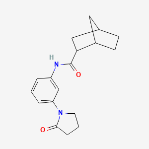 molecular formula C18H22N2O2 B7458190 N-[3-(2-oxopyrrolidin-1-yl)phenyl]bicyclo[2.2.1]heptane-2-carboxamide 