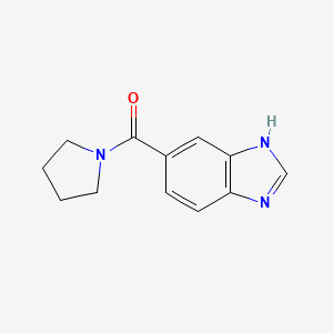 molecular formula C12H13N3O B7458565 5-(pyrrolidine-1-carbonyl)-1H-1,3-benzodiazole 