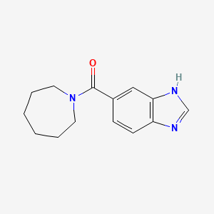 molecular formula C14H17N3O B7458599 5-(azepane-1-carbonyl)-1H-1,3-benzodiazole 