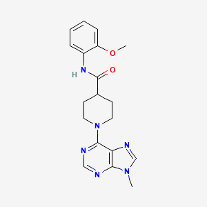 molecular formula C19H22N6O2 B7459008 N-(2-methoxyphenyl)-1-(9-methylpurin-6-yl)piperidine-4-carboxamide 