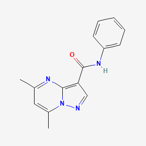 molecular formula C15H14N4O B7459170 5,7-dimethyl-N-phenylpyrazolo[1,5-a]pyrimidine-3-carboxamide 