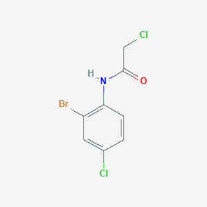 molecular formula C8H6BrCl2NO B7459484 N-(2-bromo-4-chlorophenyl)-2-chloroacetamide 