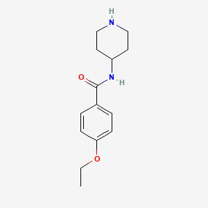 4-ethoxy-N-piperidin-4-ylbenzamide