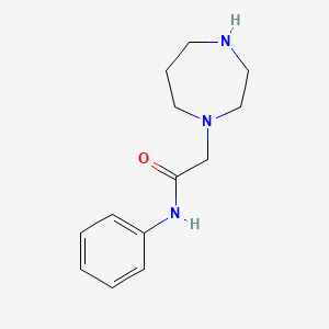 2-(1,4-diazepan-1-yl)-N-phenylacetamide