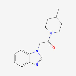 molecular formula C15H19N3O B7460292 2-(Benzimidazol-1-yl)-1-(4-methylpiperidin-1-yl)ethanone 