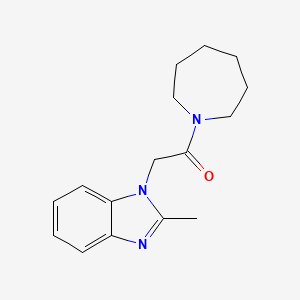 molecular formula C16H21N3O B7460297 1-(Azepan-1-yl)-2-(2-methylbenzimidazol-1-yl)ethanone 
