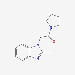 molecular formula C14H17N3O B7460302 2-(2-methyl-1H-1,3-benzodiazol-1-yl)-1-(pyrrolidin-1-yl)ethan-1-one 