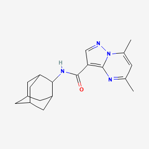 molecular formula C19H24N4O B7460425 N-(2-adamantyl)-5,7-dimethylpyrazolo[1,5-a]pyrimidine-3-carboxamide 