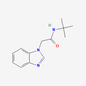 molecular formula C13H17N3O B7460476 2-(1H-1,3-benzodiazol-1-yl)-N-tert-butylacetamide 