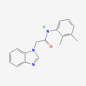 molecular formula C17H17N3O B7460480 2-(benzimidazol-1-yl)-N-(2,3-dimethylphenyl)acetamide 