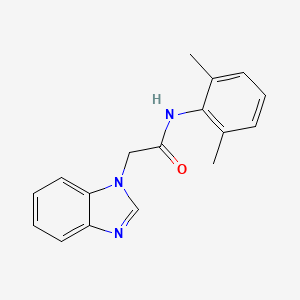 molecular formula C17H17N3O B7460489 2-(benzimidazol-1-yl)-N-(2,6-dimethylphenyl)acetamide 