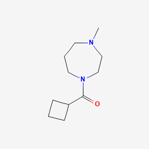 molecular formula C11H20N2O B7460497 Cyclobutyl(4-methyl-1,4-diazepan-1-yl)methanone 