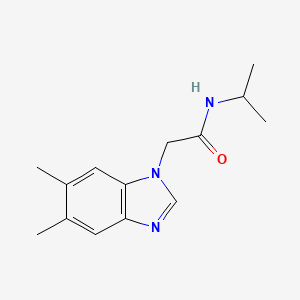 molecular formula C14H19N3O B7460503 2-(5,6-dimethylbenzimidazol-1-yl)-N-propan-2-ylacetamide 
