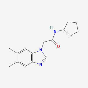 molecular formula C16H21N3O B7460518 N-cyclopentyl-2-(5,6-dimethylbenzimidazol-1-yl)acetamide 