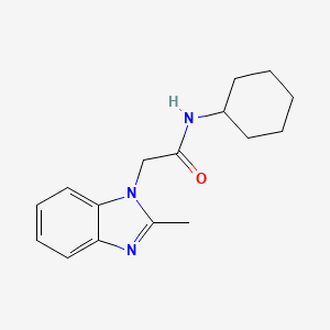 molecular formula C16H21N3O B7460546 N-cyclohexyl-2-(2-methylbenzimidazol-1-yl)acetamide 