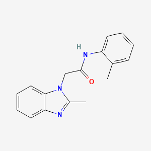 molecular formula C17H17N3O B7460554 2-(2-methylbenzimidazol-1-yl)-N-(2-methylphenyl)acetamide 