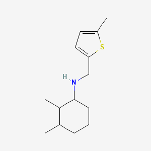molecular formula C14H23NS B7464342 2,3-dimethyl-N-[(5-methylthiophen-2-yl)methyl]cyclohexan-1-amine 