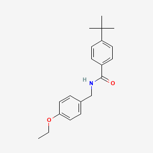 molecular formula C20H25NO2 B7464443 4-tert-butyl-N-(4-ethoxybenzyl)benzamide 