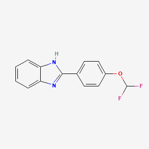 molecular formula C14H10F2N2O B7464830 2-[4-(difluoromethoxy)phenyl]-1H-benzimidazole 