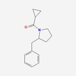 molecular formula C15H19NO B7465200 (2-Benzylpyrrolidin-1-yl)-cyclopropylmethanone 