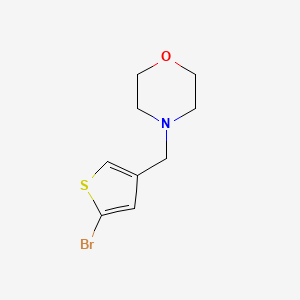 molecular formula C9H12BrNOS B7465256 4-[(5-Bromothiophen-3-yl)methyl]morpholine 