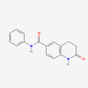 molecular formula C16H14N2O2 B7465436 2-oxo-N-phenyl-3,4-dihydro-1H-quinoline-6-carboxamide 