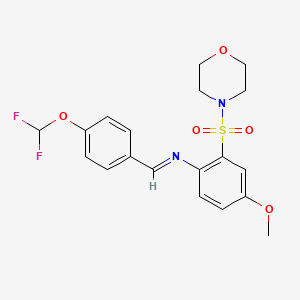 molecular formula C19H20F2N2O5S B7465646 1-[4-(difluoromethoxy)phenyl]-N-(4-methoxy-2-morpholin-4-ylsulfonylphenyl)methanimine 